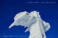 1005882-Hochgrat Gipfel Winter-JWA